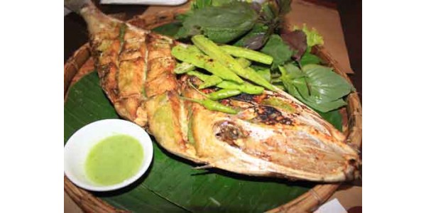 Cá bò da làm món gì ngon nhất