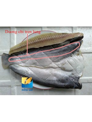 Video - Phân biệt cá dứa thật giả trên thị trường