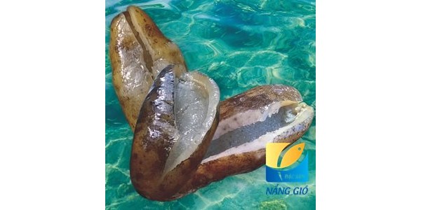 Các món ăn ngon từ hải sâm