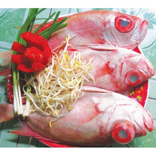 Mua Bán Cá Bã Trầu, Cá Mắt Kiếng, Cá Thóc Tươi Ngon Tại Tphcm, Sài Gòn