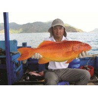 CÁ TO BỰ SIZE KHỦNG CÁ TO BỰ SIZE KHỦNG