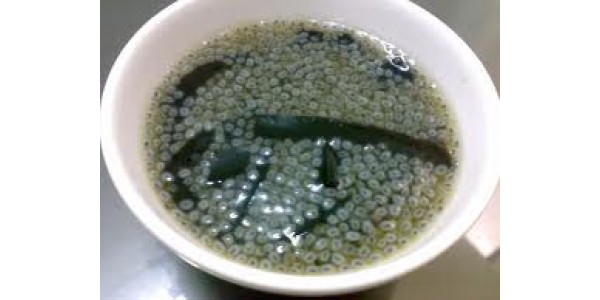 Ngừng cung cấp Bồ câu ra ràng