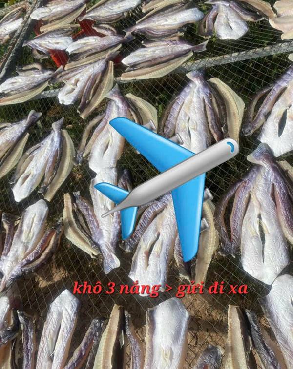 Khô cá dứa 3 nắng - mua quà Sài Gòn về Hà Nội