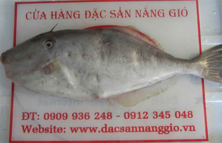 Cá bò da làm món gì ngon nhất