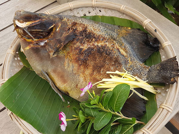 Mua bán cá nanh heo - cá thiên thần tươi ngon ở tại TpHCM, Sài Gòn