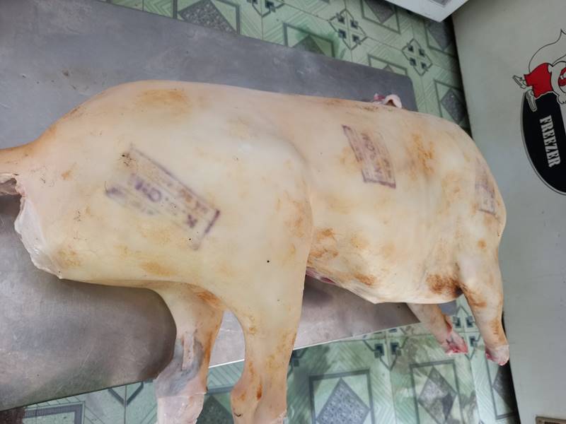 Giá Thịt cừu móc hàm nguyên con Phan Rang - Ninh Thuận