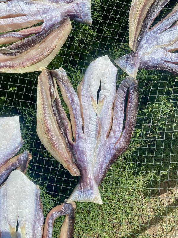 Khô cá dứa 3 nắng - hàng chuyên gửi đi nước ngoài nhiều ngày