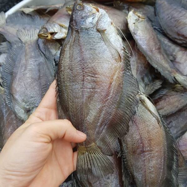 Giákhô cá sặc rằn - cá sặc bổi nổi tiếng Cà Mau tại tphcm